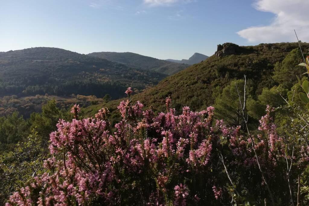 Maison De Village De Caractere Nebian ภายนอก รูปภาพ